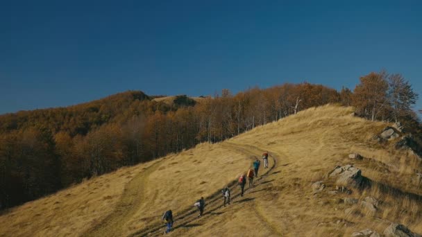 ライフスタイル観光ハイキングのコンセプトビデオ秋の季節を通してハイキング時間にバックパッカーの人々の率直なグループ 山の森風光明媚な自然環境 — ストック動画