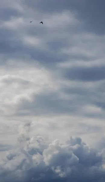 Cielo Nuboso Dramático Aire Libre Tranquila Vista Fondo Natural Con — Foto de Stock