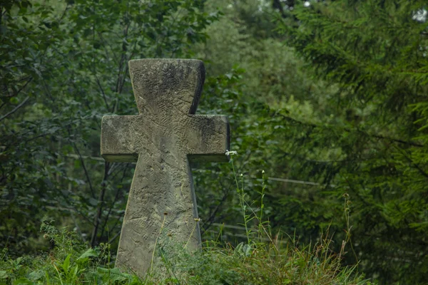 Stone Cross Religion Christian Sign Forest Ground Hill Pine Trees — Stock Photo, Image