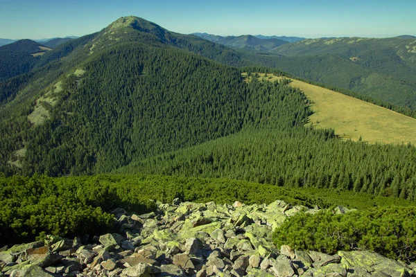 Szczyt Nad Widokiem Ukraińskiego Rezerwatu Przyrody Highland Górskie Krajobrazy Leśne — Zdjęcie stockowe