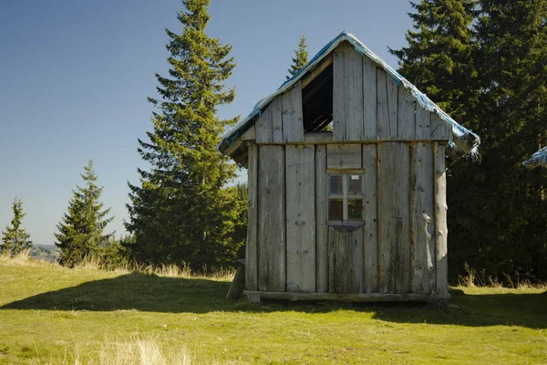 Verlassenes Unbewohnbares Holzhaus Hochland Waldrand — Stockfoto