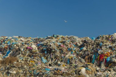 Çöp yığını, mavi gökyüzü arka planında uçan kuşlarla çevrili büyük kirli tepe, metin veya yazıtlar için boş kopya alanı, küresel ısınma ve çevresel felaket resmi 