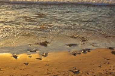 Kumsalda gün batımı romantik turuncu ışıklandırma manzaralı cennet manzaralı arka plan fotoğrafı hafif dalgalı su duvar kağıdı konsepti fotoğrafçılığı yaz tatili teması, boş kopya alanı 