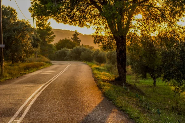 Espace Rural Campagne Route Dans Éclairage Coucher Soleil Orange Vif — Photo