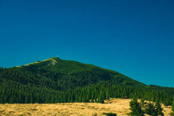 Verano Montaña Paisaje Vista Panorámica Verde Pinos Cubierta Junio Tiempo —  Fotos de Stock