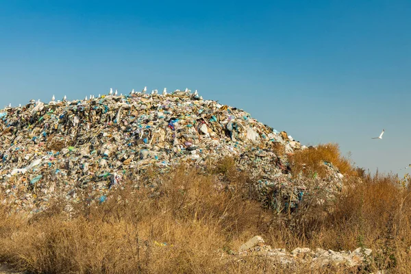 ecology global pollution disaster situation concept photography of huge dump garbage hill view