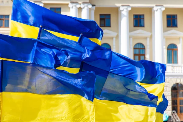 Демократия Независимость Украины Европейские Страны Национальные Желтые Синие Флаги Развивающиеся — стоковое фото