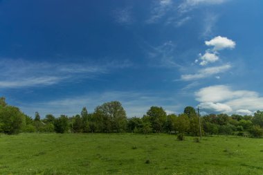 Yaz manzarası kırsal manzara cennet yeşili çayır Haziran günü açık hava zamanı fotokopi alanı
