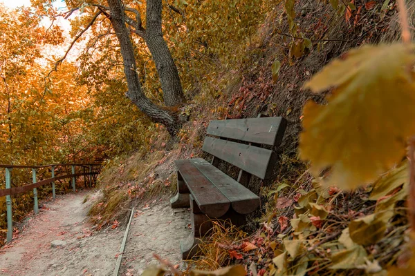 ここの人がいない秋の公園屋外風光明媚なビュー未舗装歩道や木製のベンチ — ストック写真