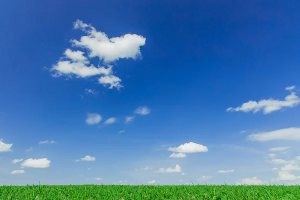 idyllic green field horizontal landscape summer day time scenic view and clear blue sky white clouds background space for copy or your text here
