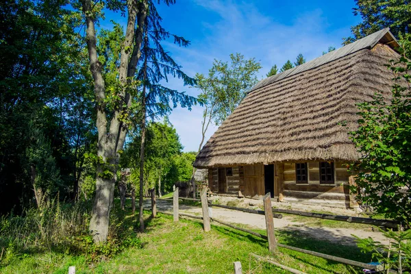 民俗風光明媚なビュー夏の時間に囲まれた庭園公園の木で東ヨーロッパの農村木造住宅キャビンカラフルな天気の良い日 — ストック写真