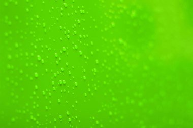 canlı yeşil odak duvarı arkaplan yüzeyi yoğunlaşma çiğ ile su damlaları kopyalama alanı