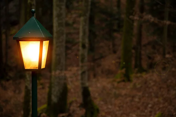 Lanterna Foresta Arancione Elettricità Illuminazione Illuminazione Con Riflessi Ottobre Novembre — Foto Stock