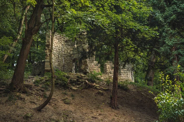 castle ruins in forest moody medieval historical landmark scenic view in Central European region