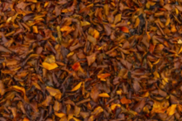 Verschwommen Aus Dem Fokus Lebhaft Orange Fallende Blätter Herbst Zeit — Stockfoto