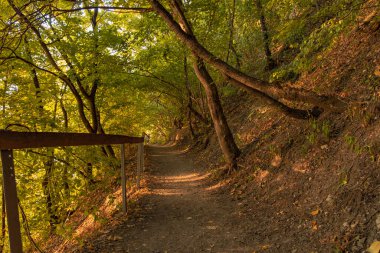 Eylül sonbahar kitap parkı doğa manzarası çevre alanı toprak patika yolu ile