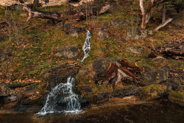 Foco Suave Outono Natureza Vista Cênica Laranja Grama Chão Pequeno — Fotografia de Stock