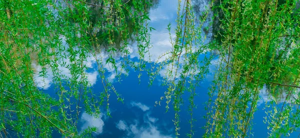 Летняя Природа Живописный Вид Пруд Голубой Воды Яркая Зеленая Листва — стоковое фото