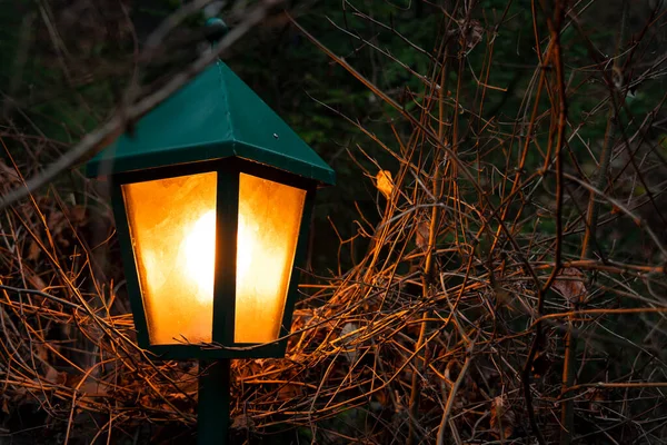 Autunno Novembre Ottobre Stagione Inquietante Lanterna Arancione Illuminazione Nel Buio — Foto Stock