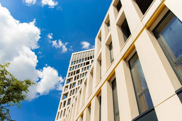 建築外観ファサードオフィスビル外のフレーム現代都市地元のランドマークビューの前に木の葉と鮮やかな青空の背景と下から短縮 — ストック写真