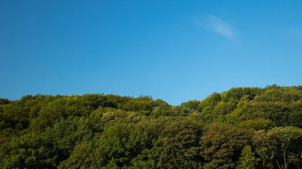 Natürliche Tapete Panorama Landschaft Malerischen Blick Auf Wald Top Bäume — Stockfoto