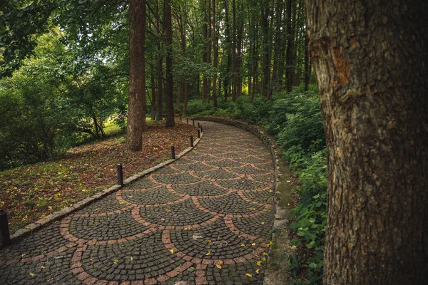 Launisch Gepflasterte Straße Zum Wandern Park Freien Wald Land Freien — Stockfoto