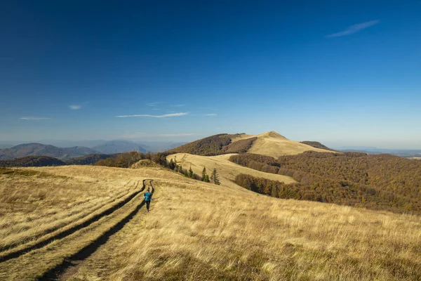 Outono Montanhas Floresta Natureza Fotografia Paisagem Paisagem Vista Cima Tempo — Fotografia de Stock