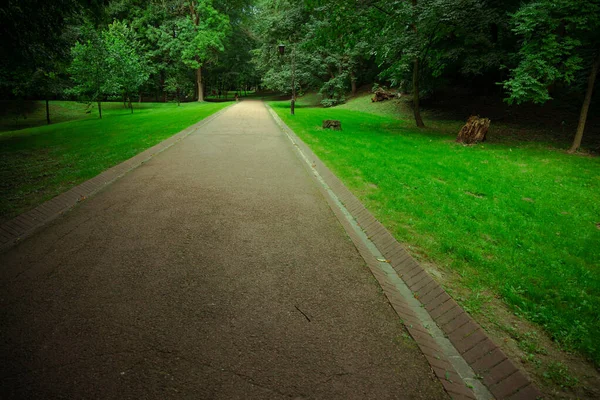 Parque Asfalto Camino Espacio Para Caminar Naturaleza Ambiente Aire Libre —  Fotos de Stock