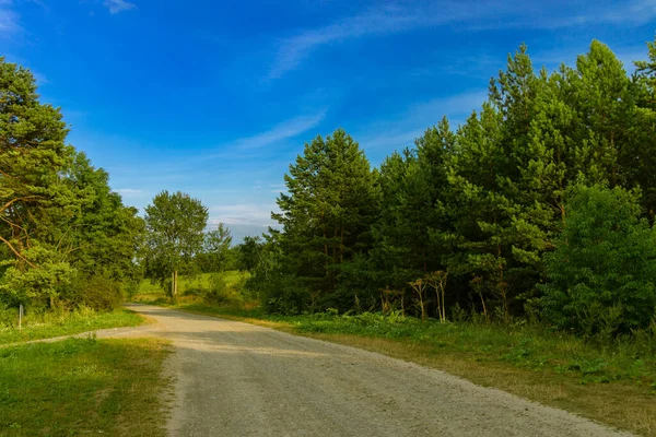 Lato Wieś Strona Wiejska Droga Lesie Natura Środowisko Przestrzeń Jasne — Zdjęcie stockowe