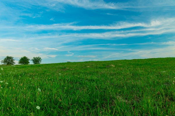 Weicher Fokus Idyllisch Grün Gras Feld Szenische Ansicht Horizont Hintergrund — Stockfoto