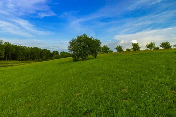 Saubere Natur Umwelt Raum Malerische Ansicht Grüne Feld Und Bäume — Stockfoto