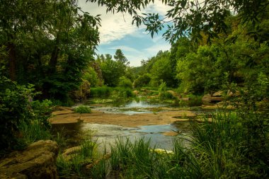 Doğa fotoğrafçılığı orman nehri temiz manzara çevre alanı yaz mevsimi açık hava zamanı