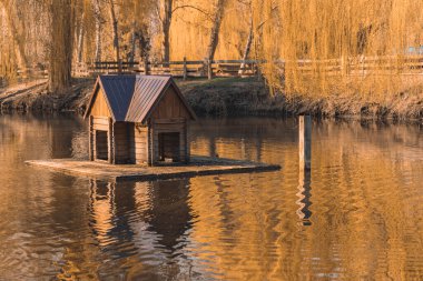Sonbaharda huzurlu bir park havuz suları manzarası ve ahşap kuş kulübesi manzarası Eylül mevsimi