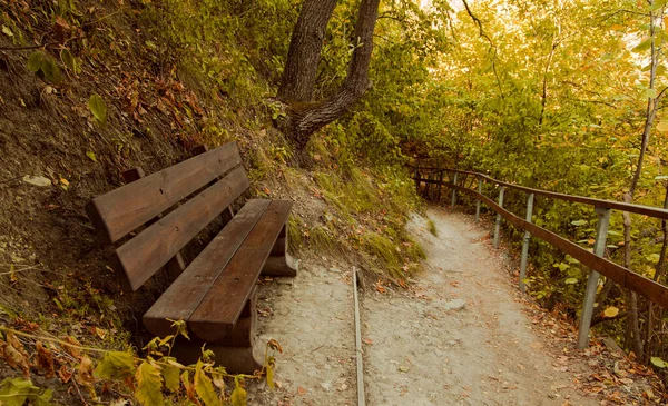 秋の公園屋外自然景観人のいない木のベンチ地上遊歩道9月の時間を歩く — ストック写真
