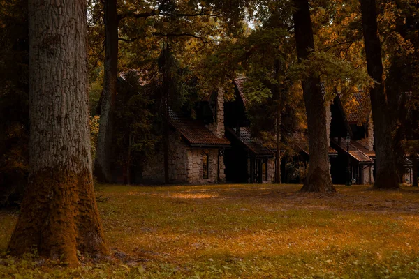 Huysuz Kasım Sonbahar Ormanı Ormanı ve tarihi kır evi atmosfer nesnesi Ağaçların altında kahverengi ve sarı yapraklar