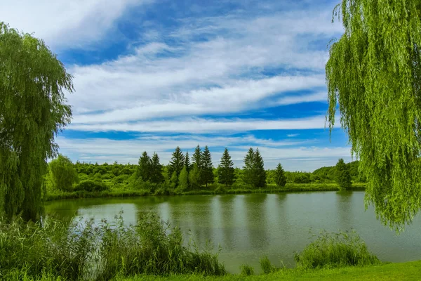 Pintoresca Naturaleza Vista Panorámica Estanque Árboles Verdes Parque Aire Libre — Foto de Stock