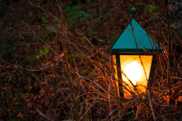 Autunno Lunatico Sera Lanterna Illuminazione Illuminazione Giardino All Aperto Rami — Foto Stock