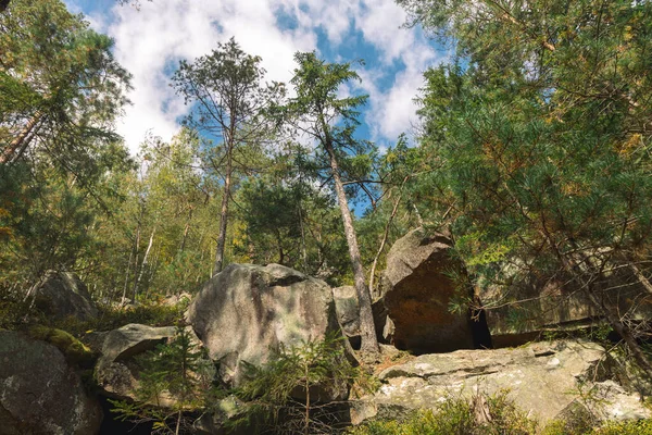 Eylül sonbaharı kayalık orman dağlık arazi doğa manzarası öngörüsü — Stok fotoğraf