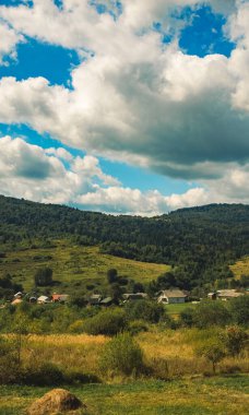 Avrupa köyü parkının dikey görüntüsü kırsal manzara karamsar bulutlu hava zamanı