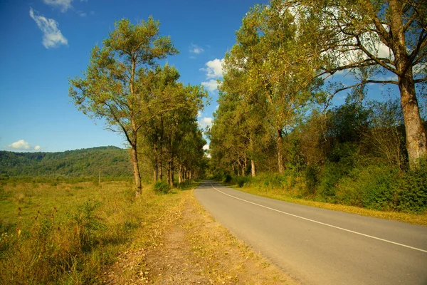 Kırsal otomobil yolu doğa manzaralı ağaç manzaralı sokak Eylül ayının sonbaharında sarı yapraklı açık hava günüyle