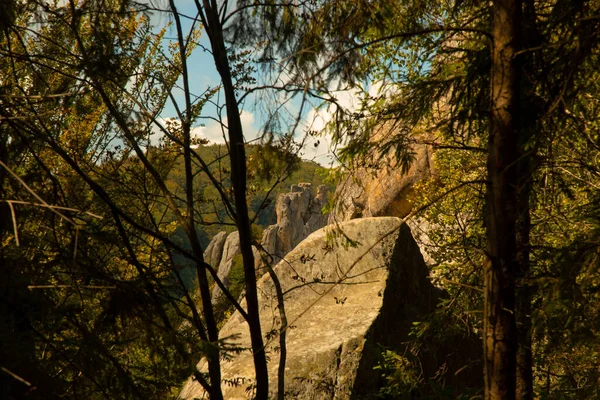 絵のように雄大な秋の高地の風景山の岩のピークの木の枝の自然のフレームの前のスペースの葉 — ストック写真