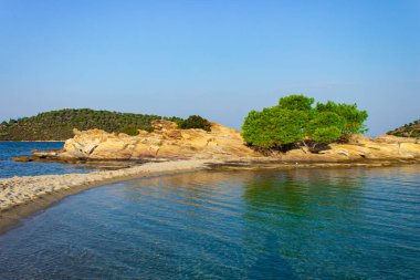 Yazın kayalık adanın güzel doğa manzarası ve yalnız ağaç koyunun vahşi doğası Yunanistan 'ın Akdeniz bölgesinin manzarası