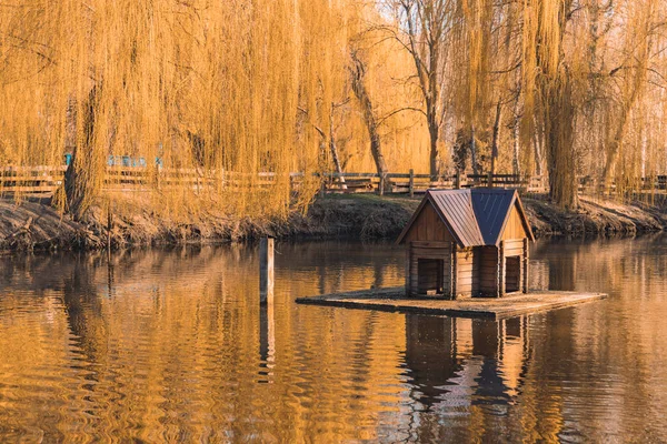 Parque al aire libre estanque agua octubre estación dorada de otoño tiempo pájaro cabina — Foto de Stock