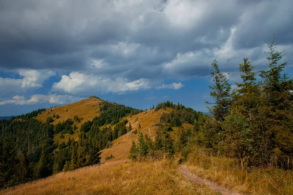 Jesień Góra Las Złoty Sezon Krajobraz Piękny Malowniczy Charakter Malowniczy — Zdjęcie stockowe
