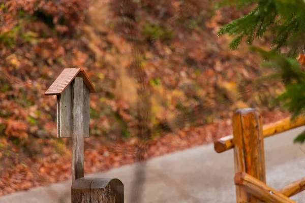秋のヴィンテージ木製のオブジェクトのポストボックス黄金10月シーズンバックヤードガーデン屋外の景色ソフトフォーカス写真 — ストック写真