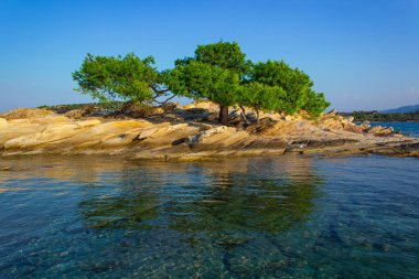 Yazın doğa manzarası. Küçük kayalık adanın manzarası. Ve sıcak deniz koyundaki yeşil ağaç.