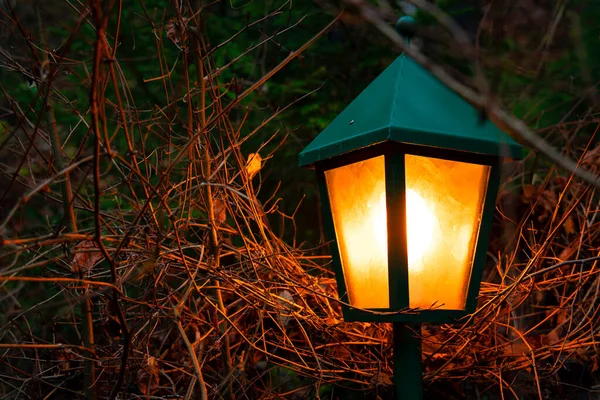 Ottobre Lanterna Arancione Illuminazione Giardino Spazio Esterno Notte Autunno Concetto — Foto Stock