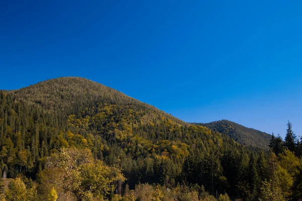 Otoño Montaña Paisaje Octubre Mes Marrón Follaje Claro Tiempo Día —  Fotos de Stock