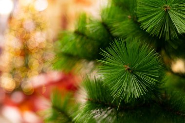 Noel reklamları duvar kâğıdı desenli dekoratif ağaç iğnesi ve arka plan odaksız ışıklandırma şenlikli çelenk lambaları hafif odaklı konsept resim boş