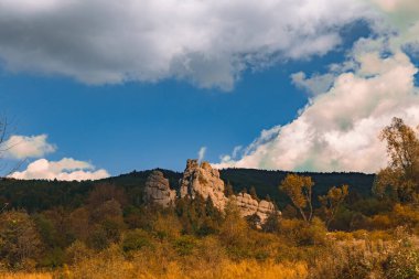 güzel doğa dramatik kayalar orman manzarası manzarası fotoğrafçılık sonbahar altın sezonu zamanı